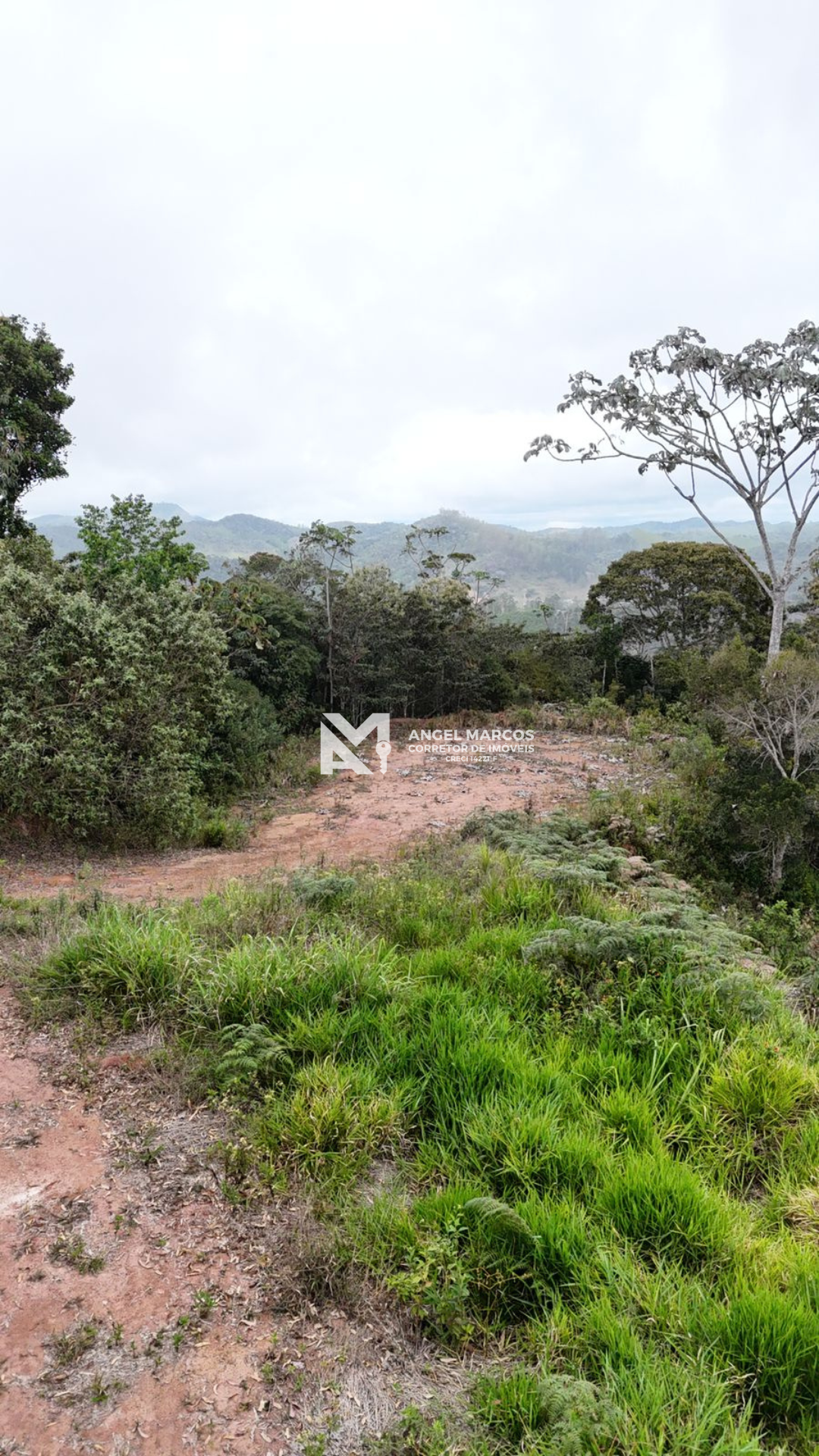 Imagem 3 da propriedade